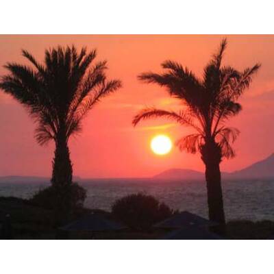 Die romantischsten Fotos