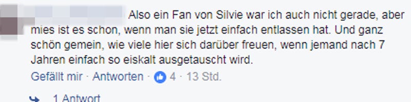 Sylvie Meis Kommentare