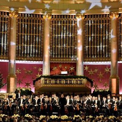 Sandra Cervik, Josefstadt-Schauspielerin