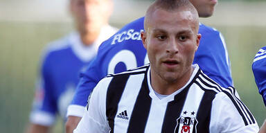 Bullen an Skandal-Profi interessiert?