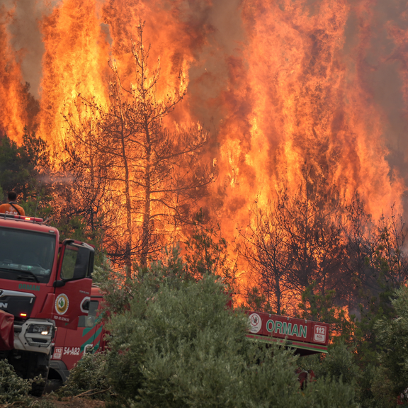 Waldbrände in der Türkei außer Kontrolle