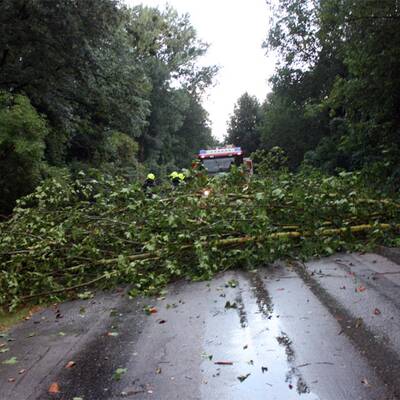 Sturmschäden in NÖ, Steiermark, Burgenland