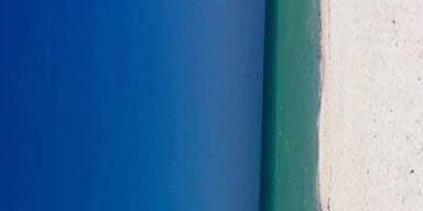 Netz flippt aus: Was sehen Sie hier?