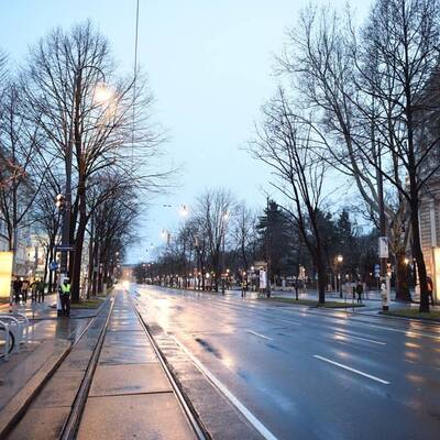 Proteste gegen Akademikerball in Wien 