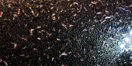 Mubarak narrt die ganze Welt