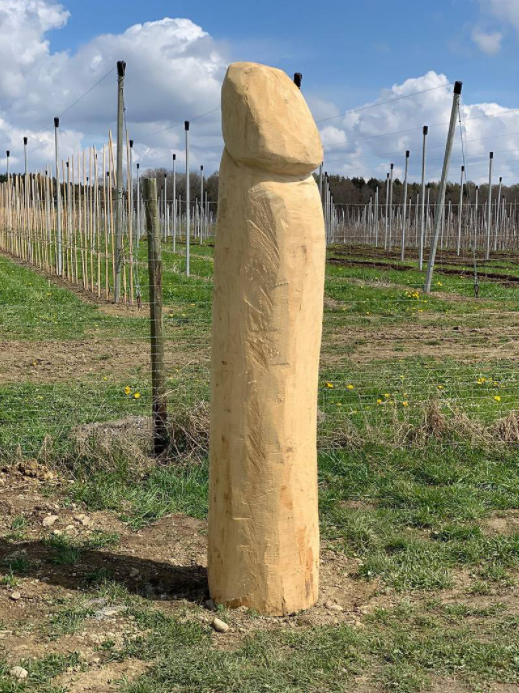 Neuer Holzpenis steht und ist zwei Meter groß
