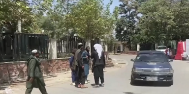 taliban generalamnestie.PNG