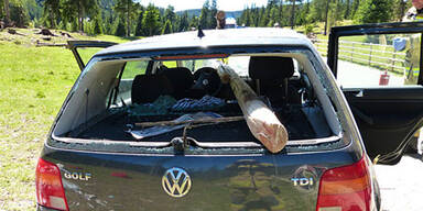 Ehepaar bei schwerem Crash gepfählt 