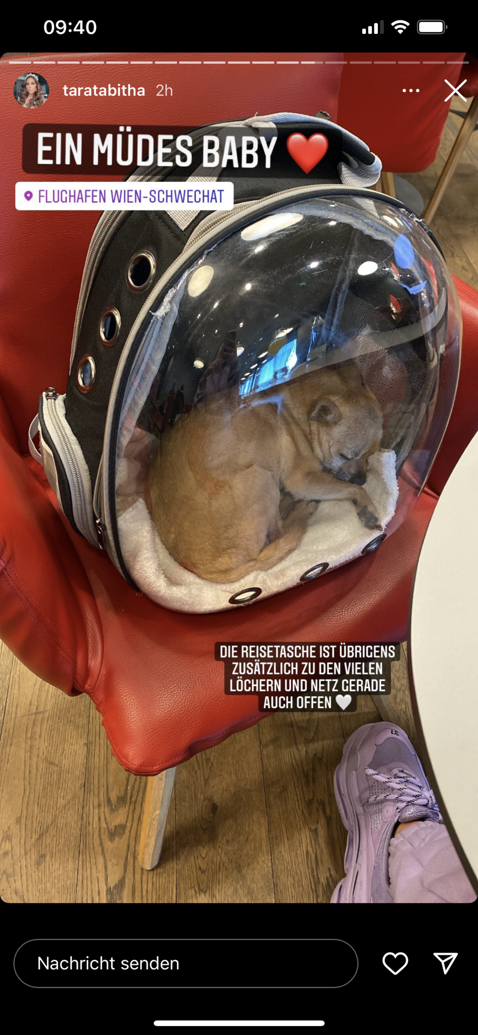 Hasswelle gegen Tara