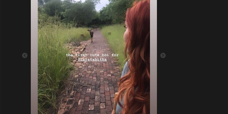 WAAAS: Mit wem flirtet Dschungel-Queen Tara da?