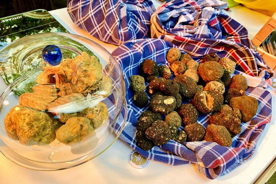 Tartufo Totale im VIENNABallhaus