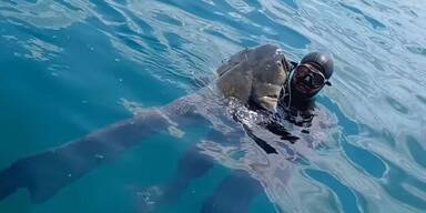 taucher wels gardasee