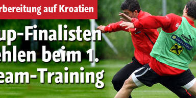 Cup-Finalisten fehlen beim Team-Training