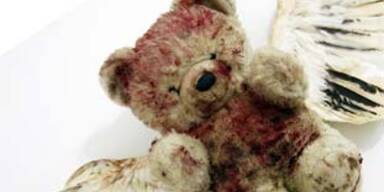 teddy