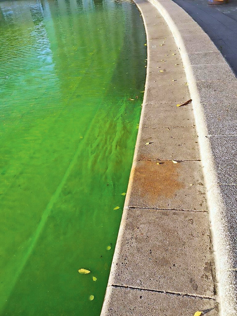 Vandalen färben den Teich am Karlsplatz giftgrün ein