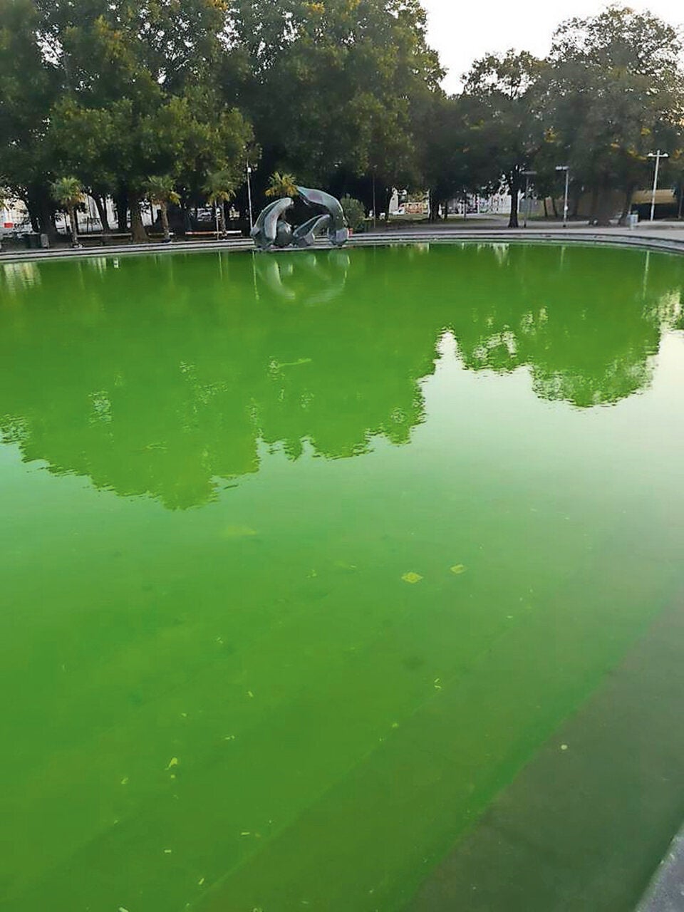 Vandalen färben den Teich am Karlsplatz giftgrün ein