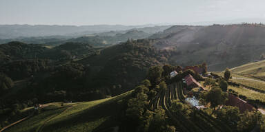 Pop-up-Bistro in der Winzarei