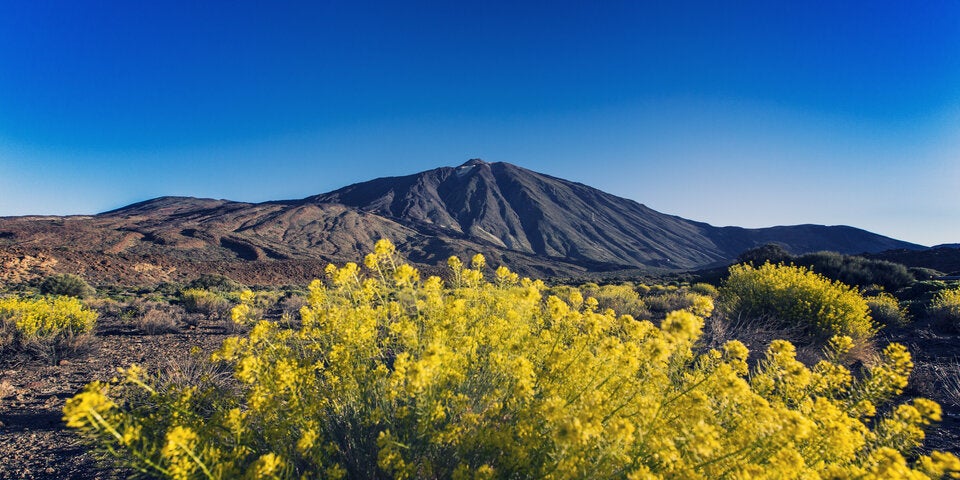 Teneriffa Teide Nationalpark