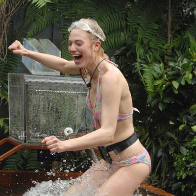 Tag 16 im Dschungelcamp