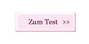 Zum Test Button Pychotest