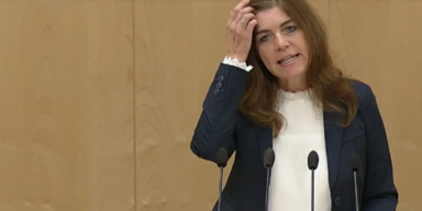 Wirbel um &Ouml;VP-Sager: Teuerung nur ein ''Gef&uuml;hl''