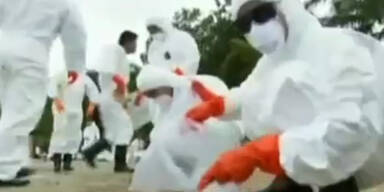 Thailand: &Ouml;lteppich erreicht Traumstrand