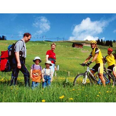 the-0219(IMG_9417)mail