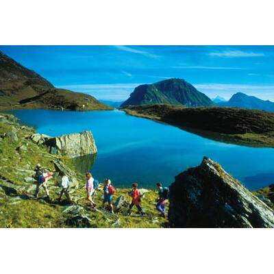 the-0219(IMG_9417)mail