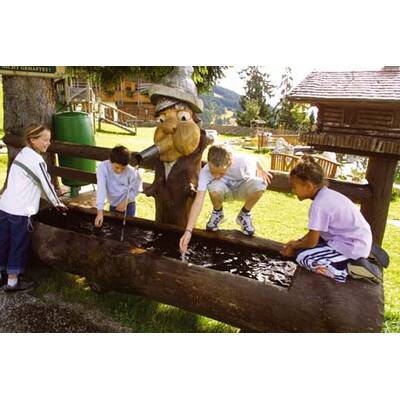 the-0219(IMG_9417)mail