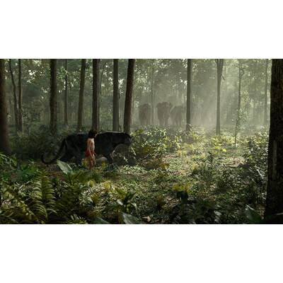 Das Dschungelbuch wird real