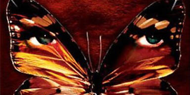 Thriller-Vorlage für Entführung?