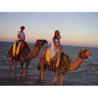 Die romantischsten Fotos