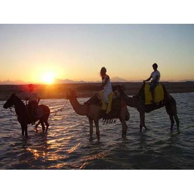 Die romantischsten Fotos