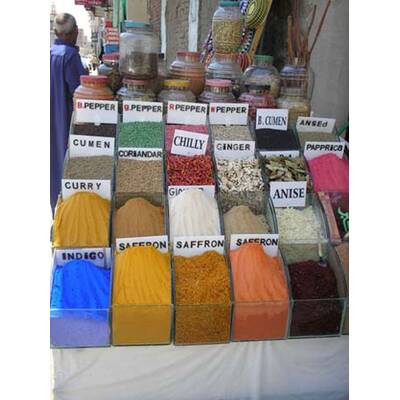 Die neuesten Urlaubsfotos