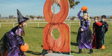 Schaurig-sch&ouml;ne Momente auf Schloss Hof