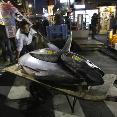 Der Restaurant-Betreiber Kiyoshi Kimura kaufte diesen Thunfisch für 1,3 Millionen Euro
