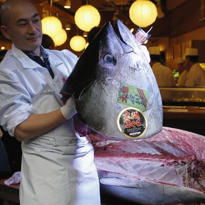 Der Restaurant-Betreiber Kiyoshi Kimura kaufte diesen Thunfisch für 1,3 Millionen Euro