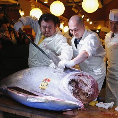 Der Restaurant-Betreiber Kiyoshi Kimura kaufte diesen Thunfisch für 1,3 Millionen Euro