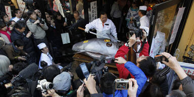 Thunfisch wird für halbe Million zu Sushi