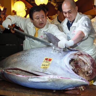Der Restaurant-Betreiber Kiyoshi Kimura kaufte diesen Thunfisch für 1,3 Millionen Euro