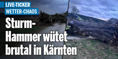 LIVE-TICKER: Sturm-Hammer wütet in Kärnten