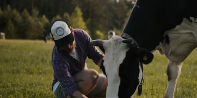 tierische aufgabe 1.PNG