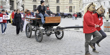 Tiersch&uuml;tzer spannen sich vor Kutsche
