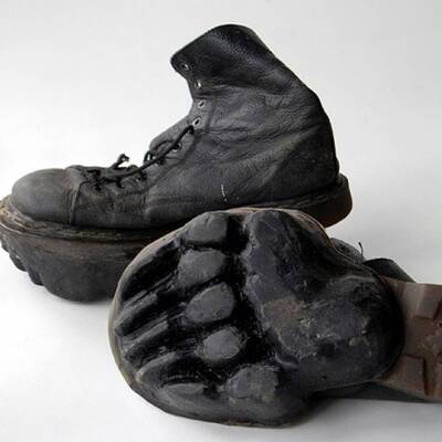 Die ganze Welt lacht über 