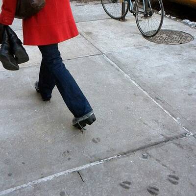 Die ganze Welt lacht über 