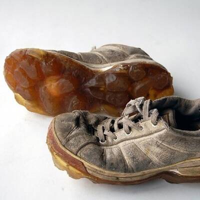 Die ganze Welt lacht über 