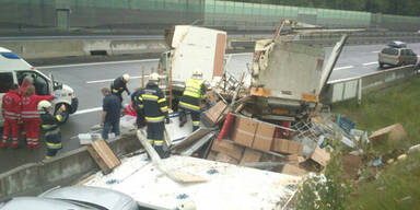 Tier-Alarm auf der Autobahn