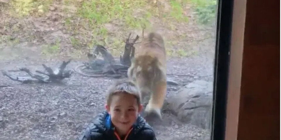 Bub erlebt den Schock seines Lebens