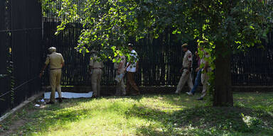 Weißer Tiger zerfleischt Schüler 