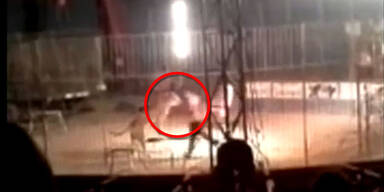 Tiger tötet Zirkus-Dompteur in Mexiko